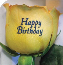 Print On Roses Happy Birthday